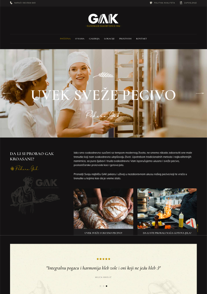 izrada wordpress sajta gak